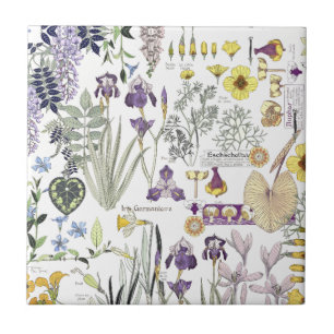 French Art Nouveau Vintage Flower Ceramic Tile