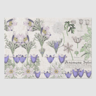 French Art Nouveau Windflower Flowers Tissue Paper