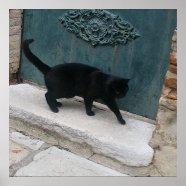 French Black Cat Nice France Print Posters (Front)