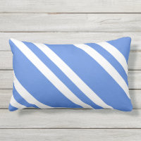 French Blue and White Stripes