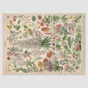 French Botanical Fleurs Tissue Paper