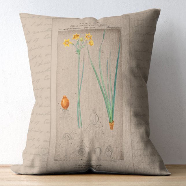 French Botanical Illustration Daffodil Decorative Cushion (Creator Uploaded)