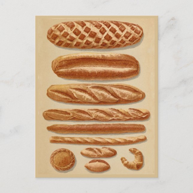 French Breads vintage illustrations chart Postcard (Front)