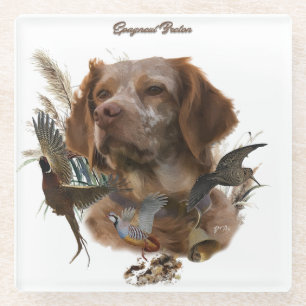 French Brittany, Bird Hunting Art  Glass Coaster