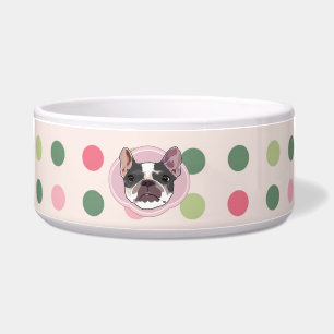 French bull dog  and colourful dots