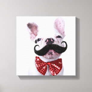 French Bull Dog Puppy With Moustache Canvas Print