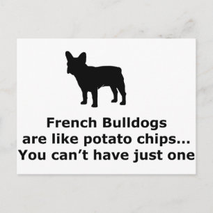 French Bull Dogs are like Potato Chips Postcard