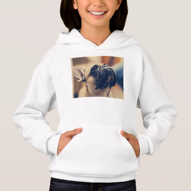 french bulldog (Front)