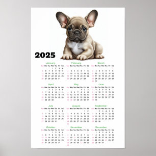 French Bulldog 2025 Calendar Poster