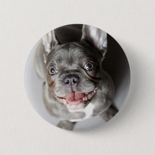 French bulldog 6 cm round badge