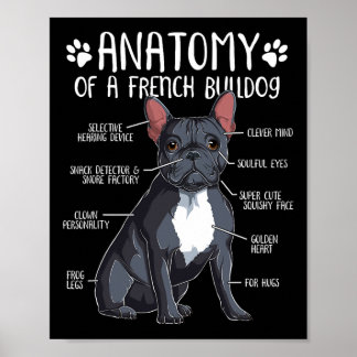 French Bulldog Anatomy Frenchie Dog Lover Owner 2  Poster
