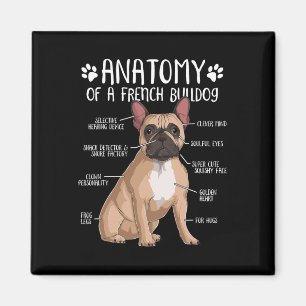 French Bulldog Anatomy Frenchie Dog Lover Owner Magnet