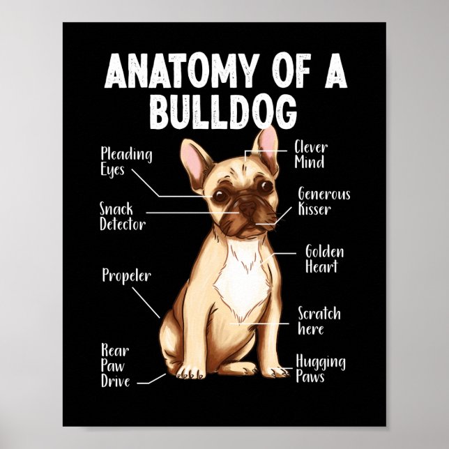 French Bulldog Anatomy Of A Bulldog Mum Dad Poster (Front)