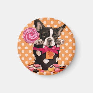 French Bulldog and Candy Magnet