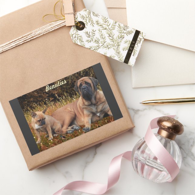 French Bulldog and Mastiff friends Rectangular Sticker (Gifting)