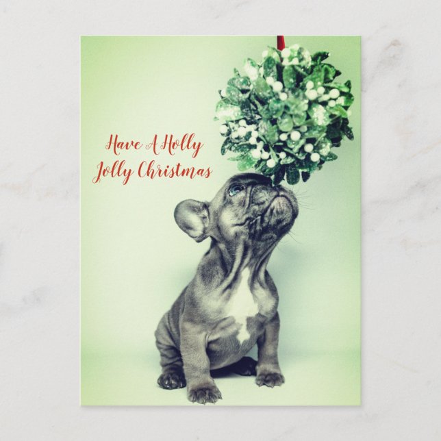 French Bulldog And Mistletoe Festive Christmas Holiday Postcard (Front)