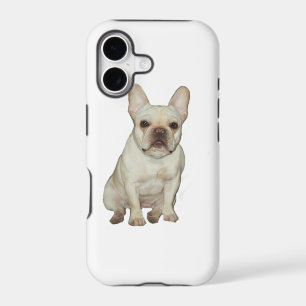 French Bulldog (B) - fawn