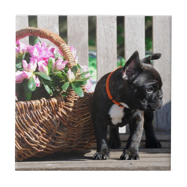 French Bulldog Basket Tile (Front)