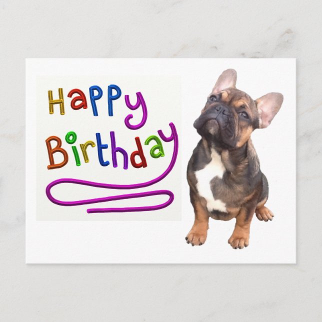 French Bulldog Birthday French Bulldog Postcard (Front)