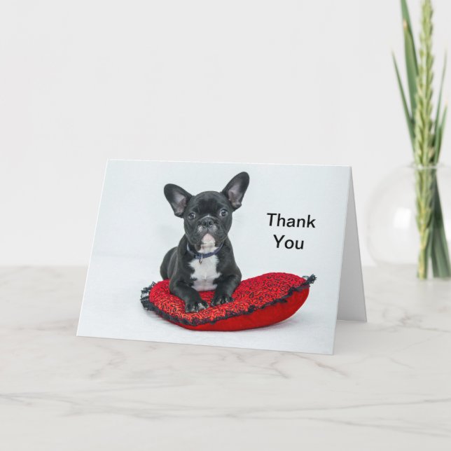 French Bulldog Black Pillow Photo Thank You Card (Front)