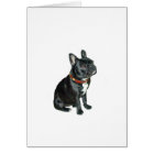 French Bulldog - Black with red collar