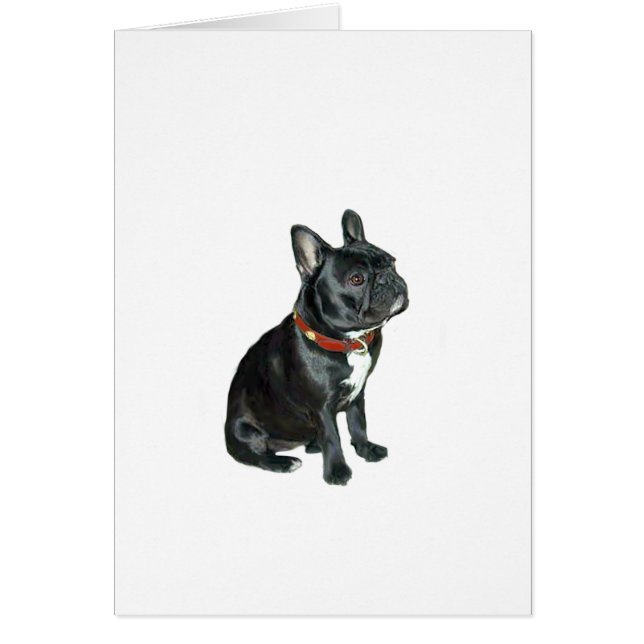 French Bulldog - Black with red collar (Front)