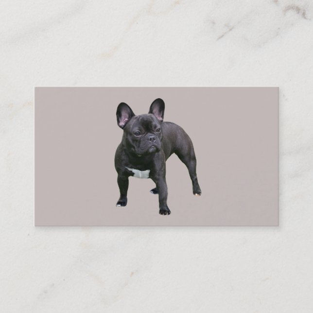 French Bulldog Breeder Business Card (Front)