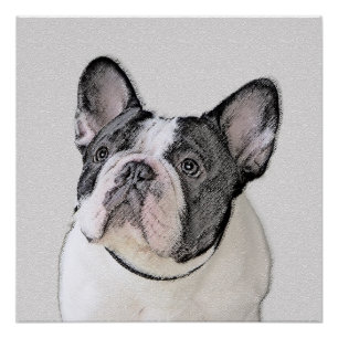French Bulldog (Brindle Pied) Painting - Dog Art Poster
