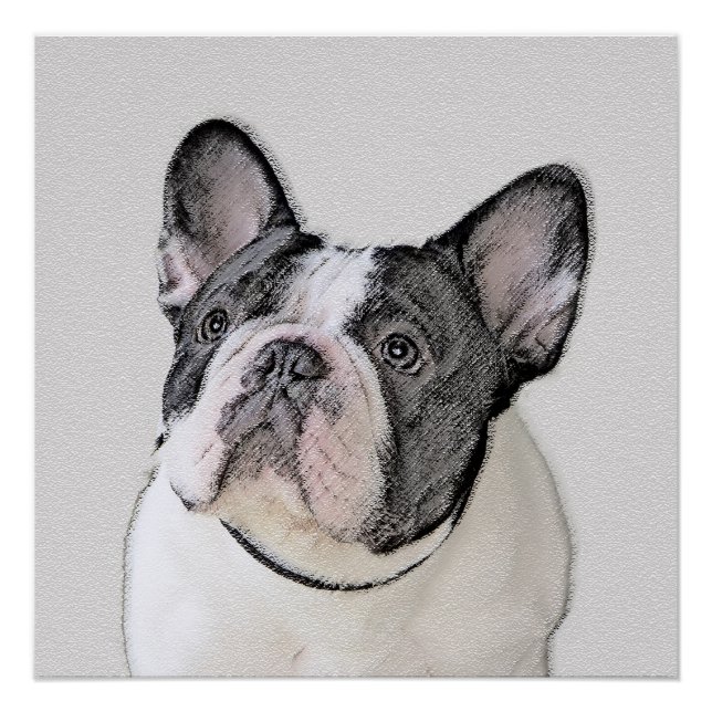 French Bulldog (Brindle Pied) Painting - Dog Art Poster (Front)