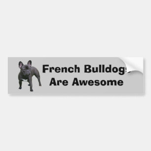 French Bulldog Bumper Sticker