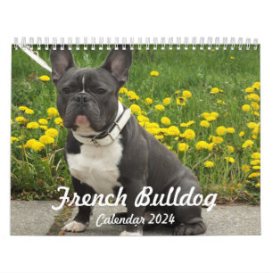 French Bulldog Calendar 2024 Add Your Photos