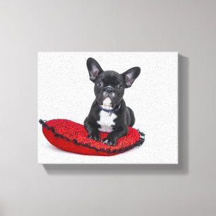 French bulldog canvas