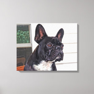 French Bulldog Canvas Print