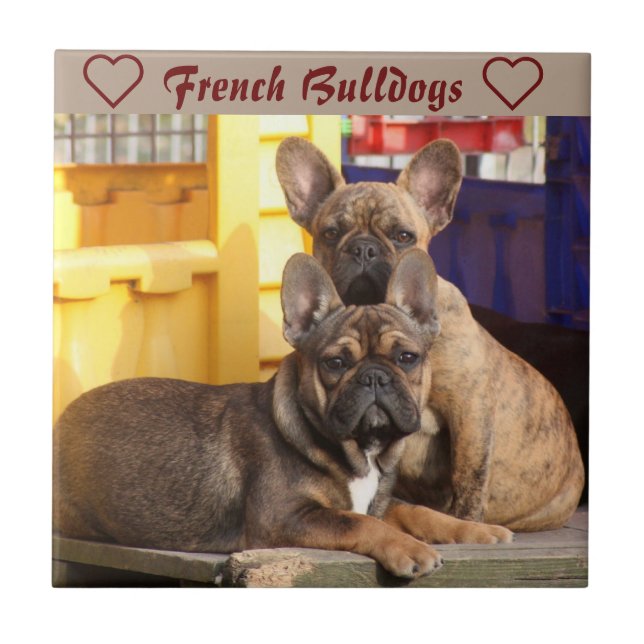 French bulldog ceramic tile (Front)