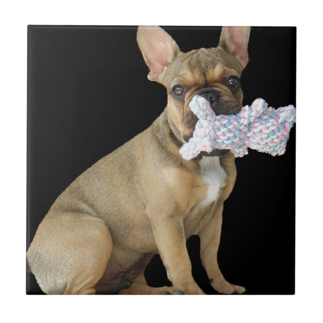 French Bulldog Ceramic Tile (Front)