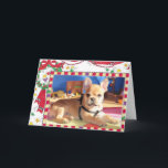 French Bulldog Christmas Card<br><div class="desc">A cute little puppy. The pretty French Bulldog is lying in the playroom and has gotten her first harness.</div>