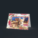 French Bulldog Christmas Card<br><div class="desc">A cute little puppy. The pretty French Bulldog is lying in the playroom and has gotten her first harness.</div>