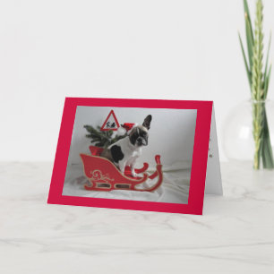 French Bulldog Christmas card