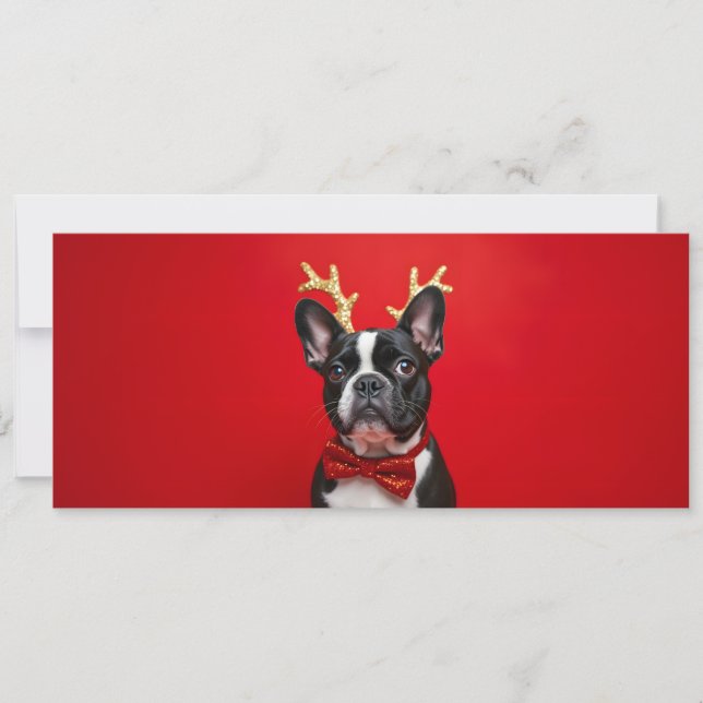 French Bulldog Christmas with bow tie (Front)
