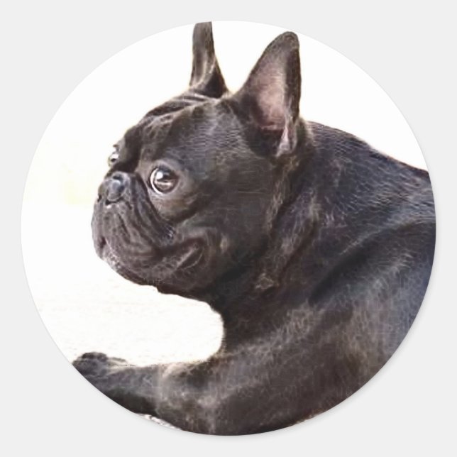 French Bulldog Classic Round Sticker (Front)