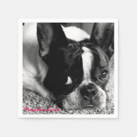 French Bulldog Cocktail Napkins