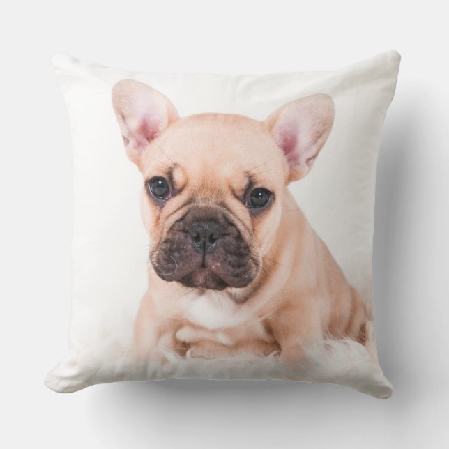 French Bulldog Cushion (Front)
