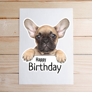 French Bulldog Cute Fawn Puppy Birthday Sticker