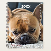 French Bulldog - Daily Planner- HAMbWG