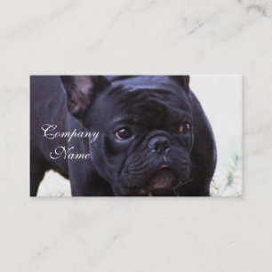 French Bulldog dog Business Card