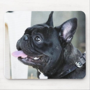 French bulldog dog mouse pad