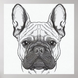 French Bulldog Dog Wild Nature Animal Illustration Poster
