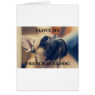 french bulldog fawn love w pic