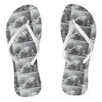 French Bulldog flip flops