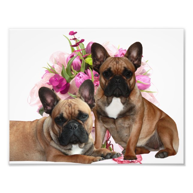 French Bulldog Flowers French Bulldog Celebration Photo Print (Front)